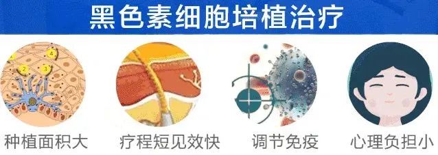 6白癜風(fēng)患者做移植手術(shù)都需要注意什么臨沂皮膚病醫(yī)院哪家好